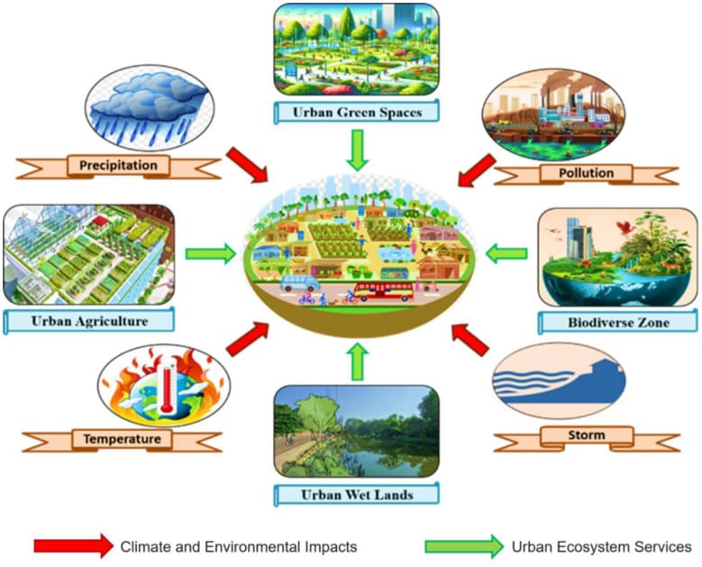 Interconnection of Urbanization and Climate Change