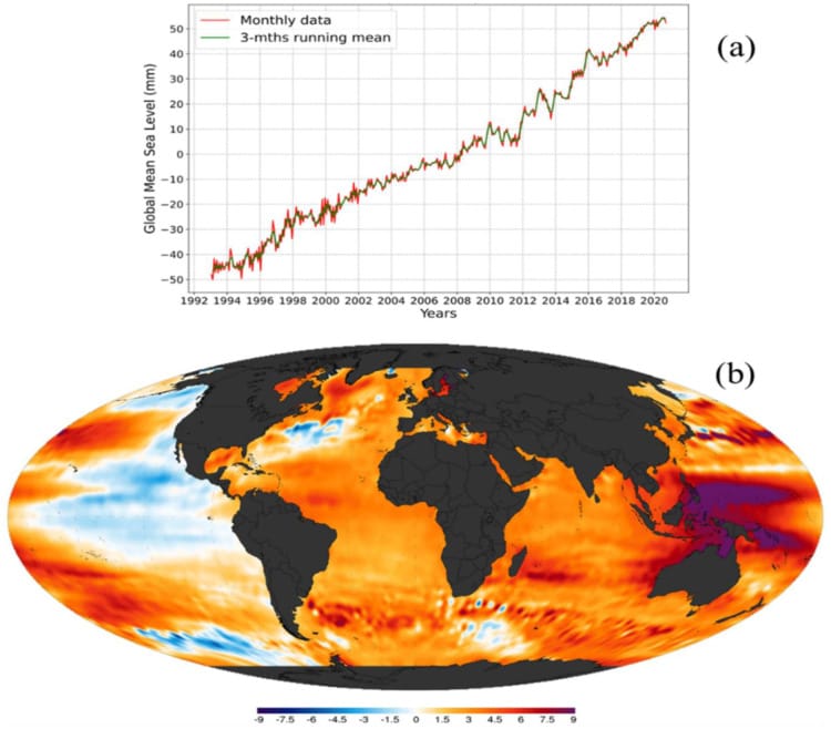 Risk in Coastal Ecosystems