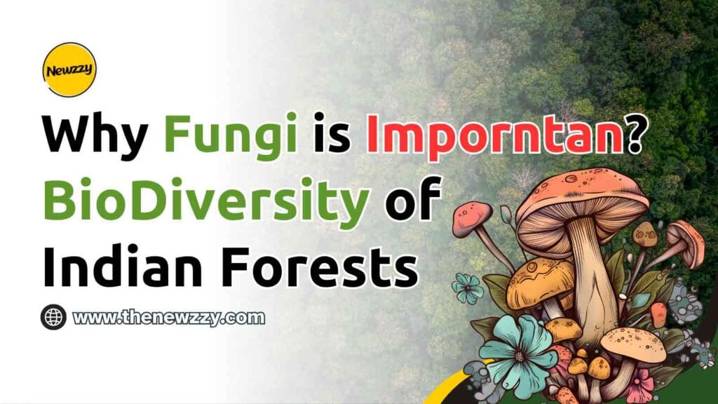 what is fungi?