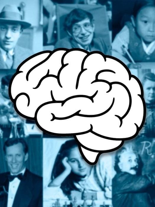 highest IQ