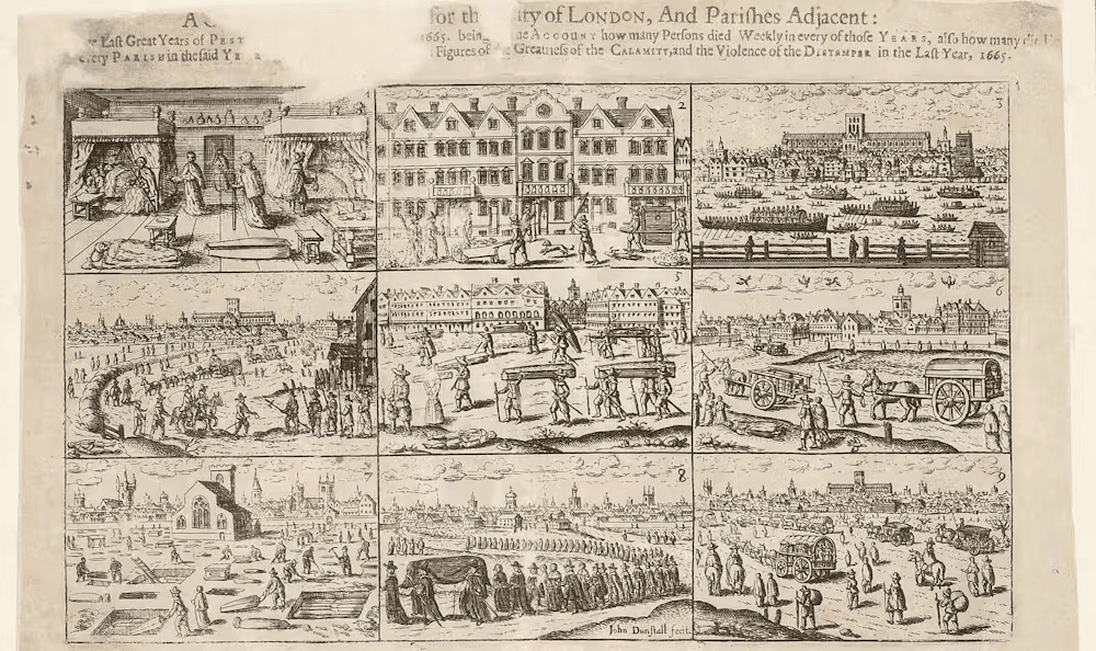 14th-Century Plague Diaries Solved Our Modern Flood Crisis