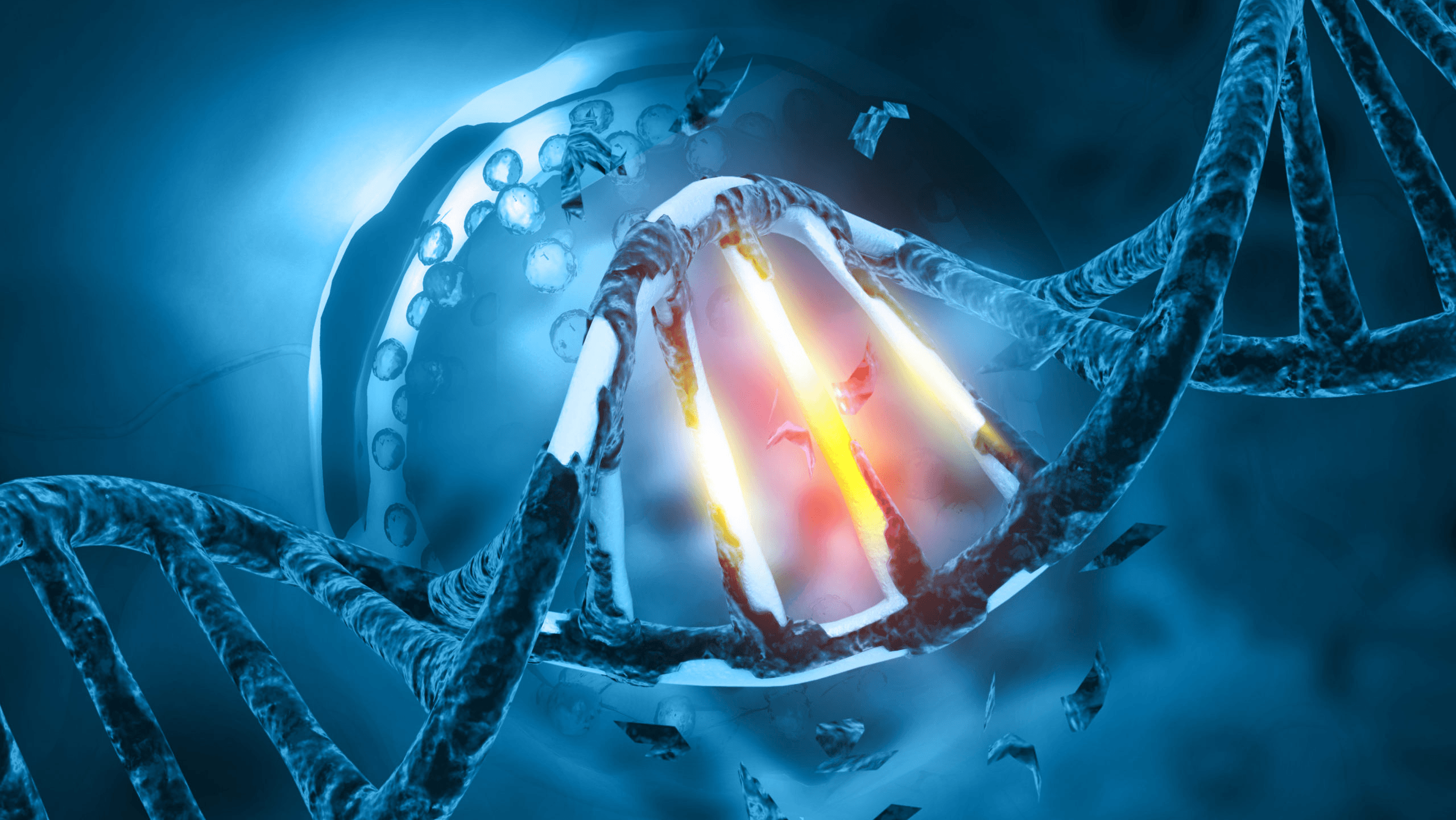 Telomere Attrition: A Clock Count Down of the Body