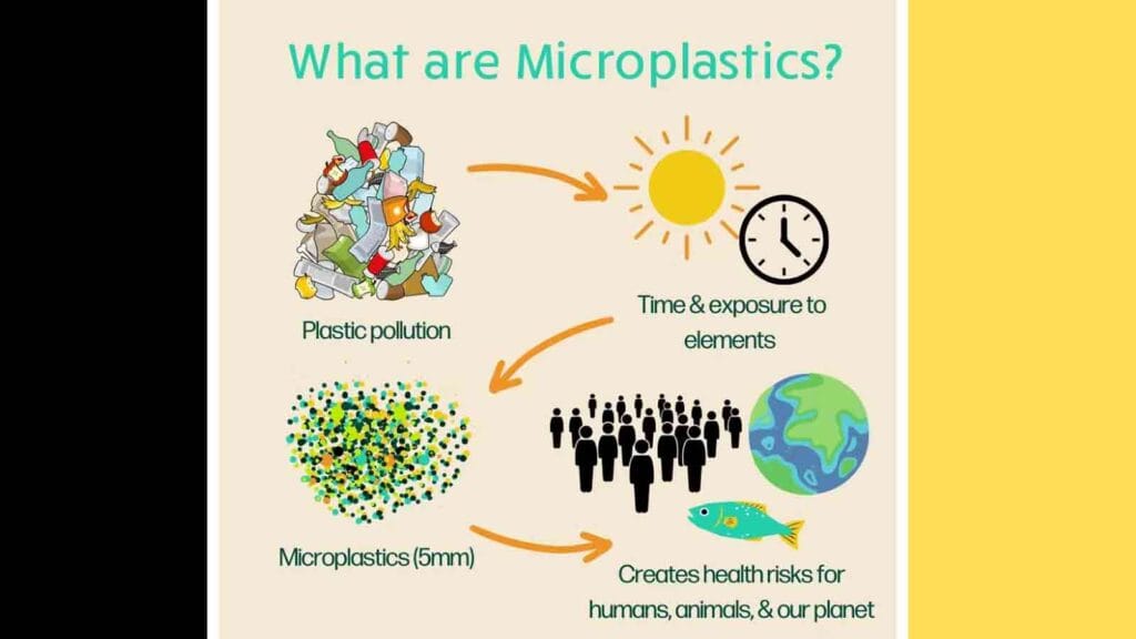 Microplastics: The Tiny Killers in Your Bloodstream | How to Avoid Microplastics? 2025 Report 5 What Are Microplastics?