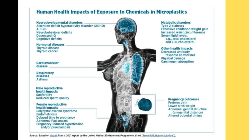 Microplastics: The Tiny Killers in Your Bloodstream | How to Avoid Microplastics? 2025 Report 6 How Microplastics Got into Human Blood and Organs?