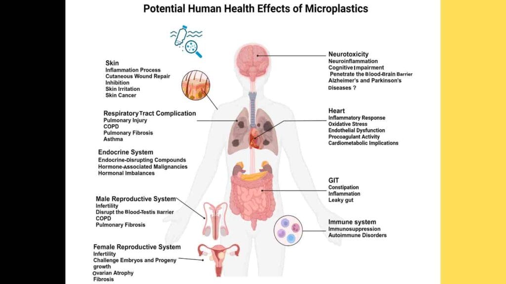 Microplastics: The Tiny Killers in Your Bloodstream | How to Avoid Microplastics? 2025 Report 7 MicroPlastics Effect on Humans