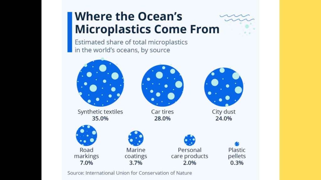 Microplastics: The Tiny Killers in Your Bloodstream | How to Avoid Microplastics? 2025 Report 8 What is the Origin of Microplastics?