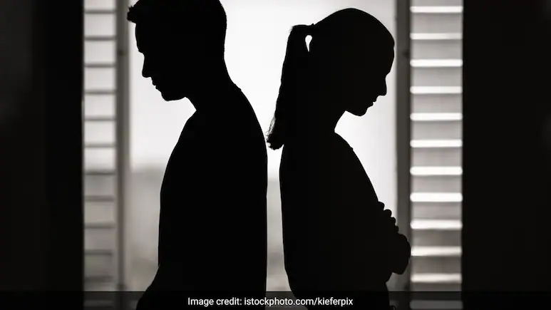 "Alimony Not For Financially Independent": Delhi Court Denies Maintenance to Railway Officer, 2025 3 kc79p8d8 couple generic couple disagreement generic couple fight