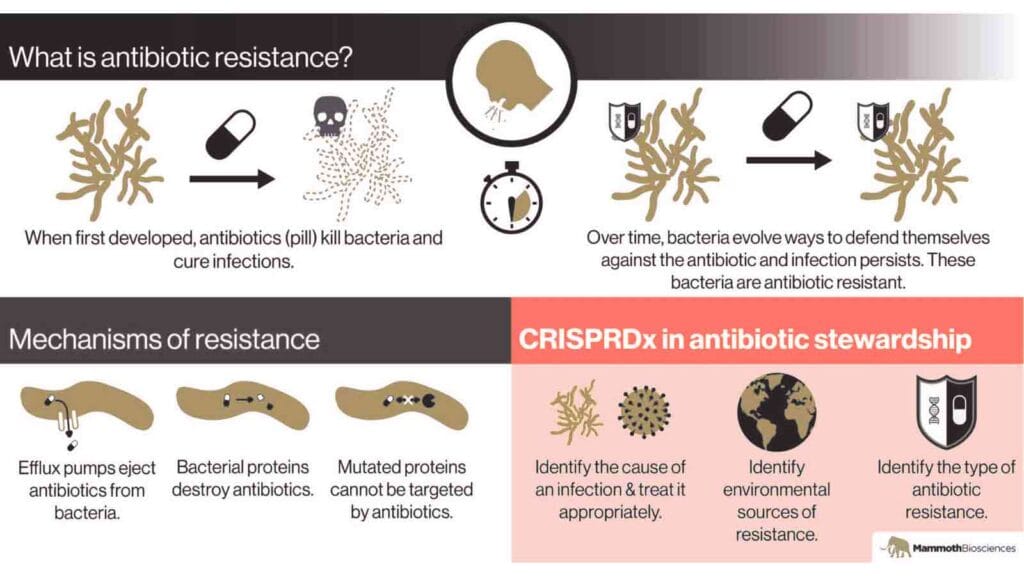 Antibiotic Resistance Explained: Causes, Risks, and Treatment in 2026 5 What is Antibiotic Resistance?
